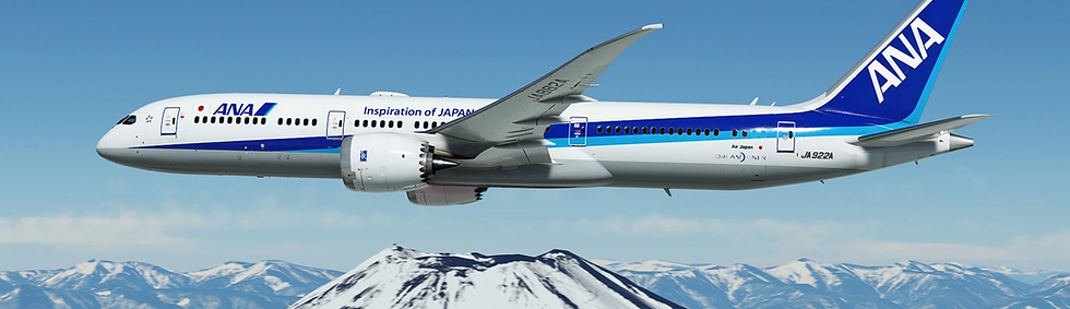 ANA Group Virtual B787