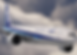 ANA Group Virtual Boeing 777