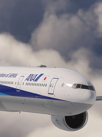 ANA Group Virtual Boeing 777