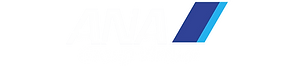 ANA Group Virtual Logo