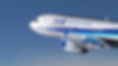 ANA Group Virtual Boeing 737-800