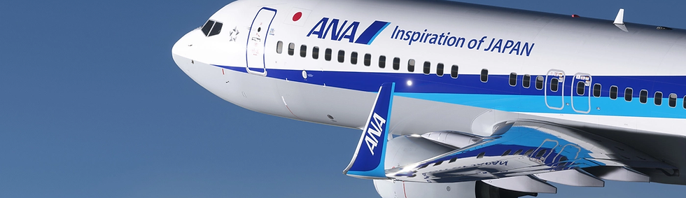 ANA Group Virtual Boeing 737-800