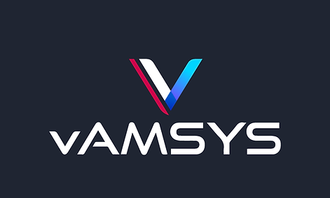vAMSYS Logo