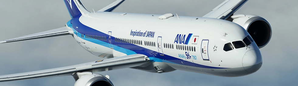 ANA Group Virtual Boeing 787