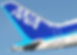 ANA Group Virtual Airbus A320